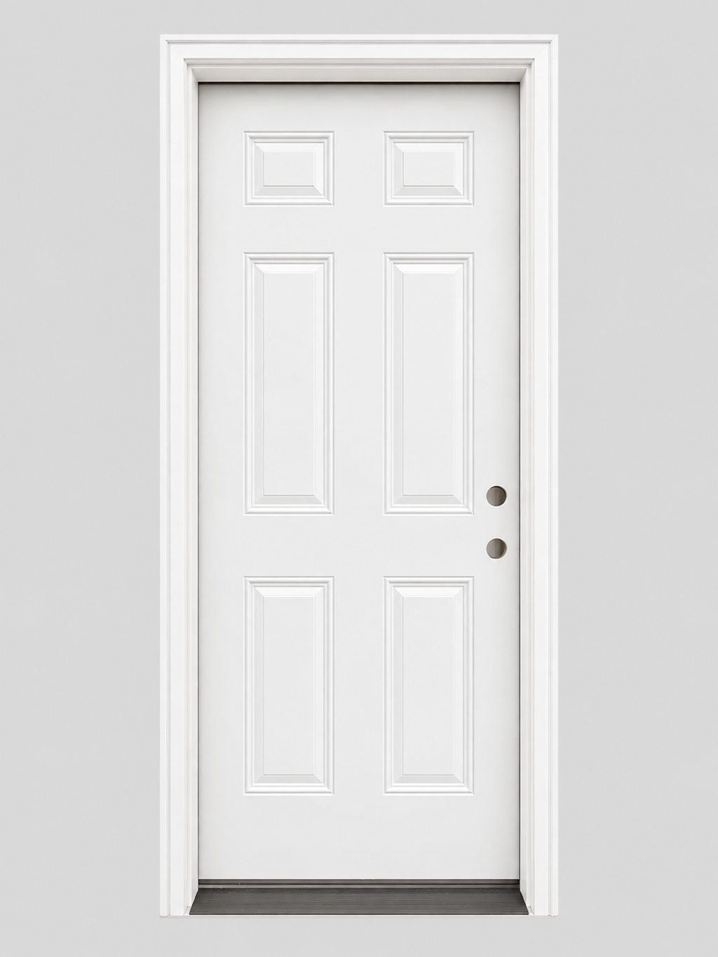 6-Panel Steel/Fiberglass Back Door